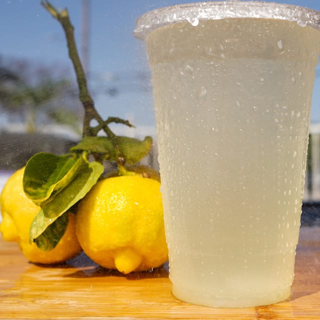 Homemade Lemonade 32 oz.