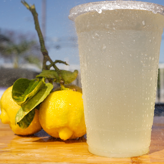 Homemade Lemonade